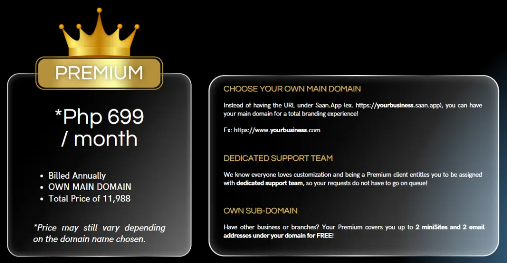 miniSite Pricing Premium 699 Banner.webp