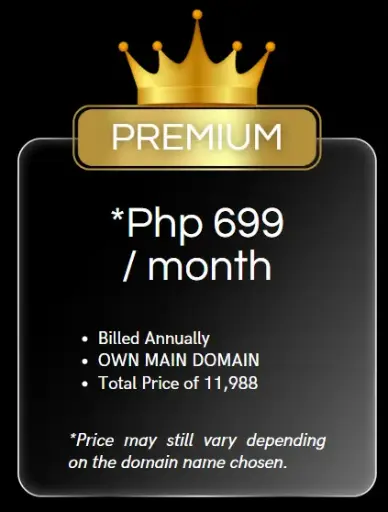 miniSite Premium 699 (Annual)